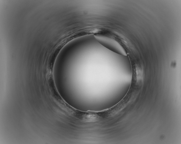 X0000094960324200711291446