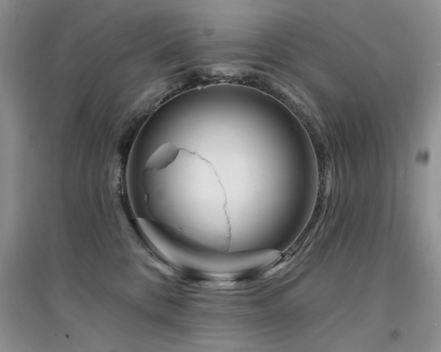 X0000094960328200711291446