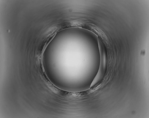 X0000094960329200711291446