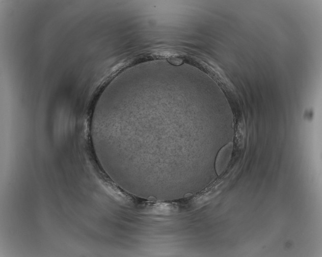 X0000094960330200711291446