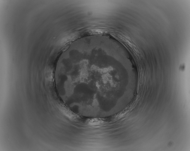 X0000094960331200711291446