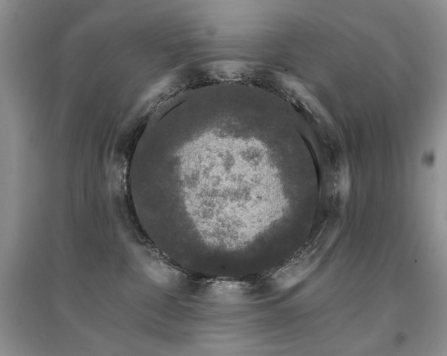 X0000094960332200711291446