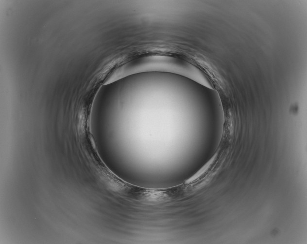 X0000094960333200711291446