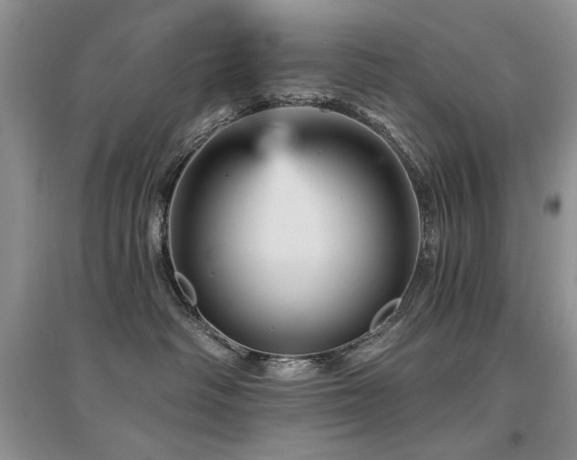 X0000094960334200711291446