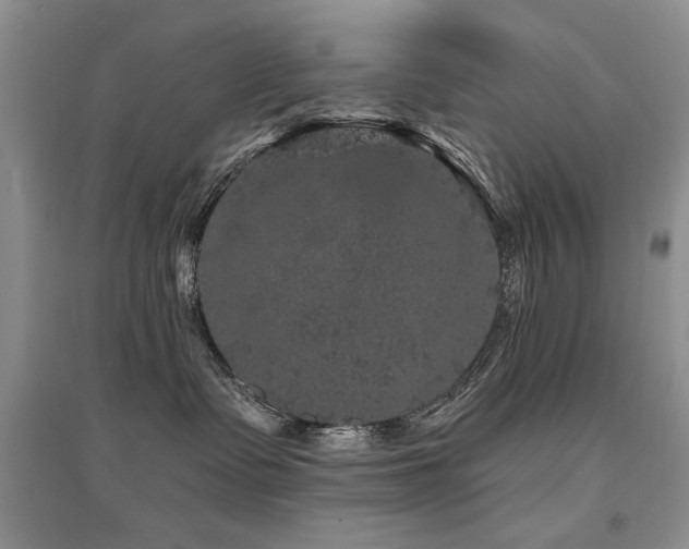 X0000094960335200711291446