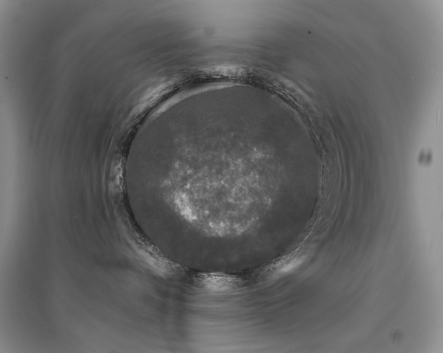 X0000094960336200711291446