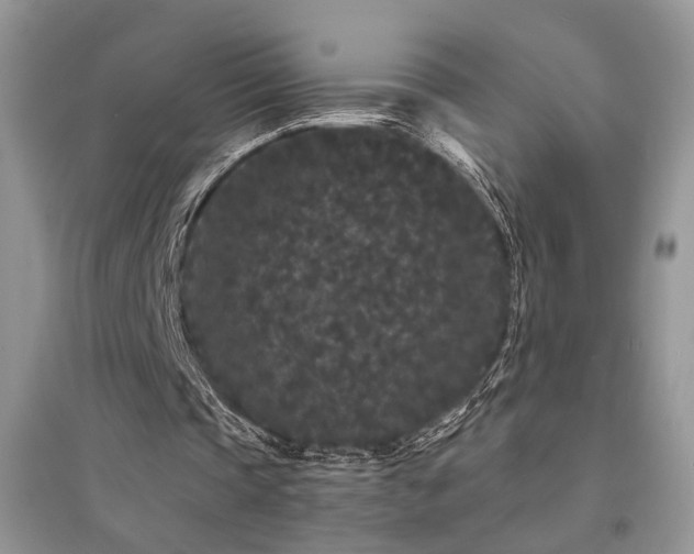 X0000094960337200711291445