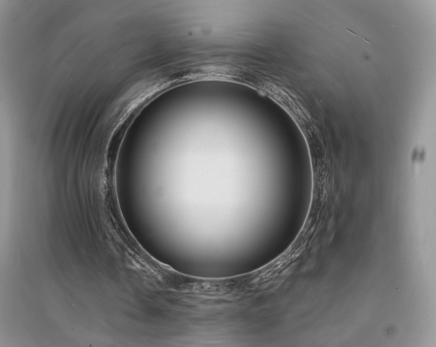 X0000094960338200711291445