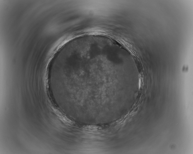 X0000094960339200711291445