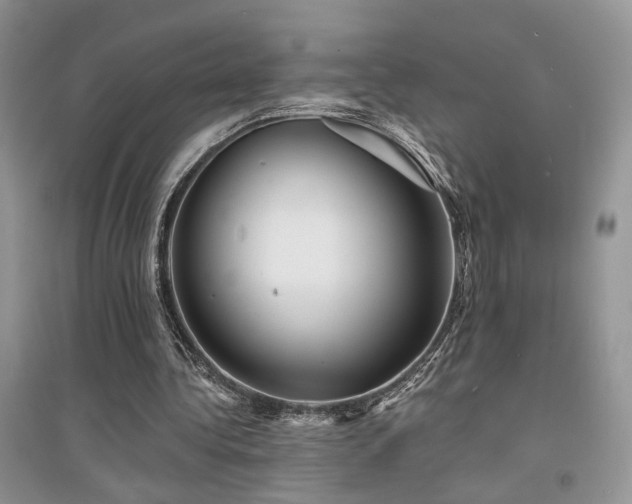 X0000094960340200711291445