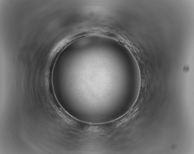 X0000094960341200711291445