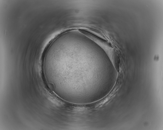 X0000094960342200711291445