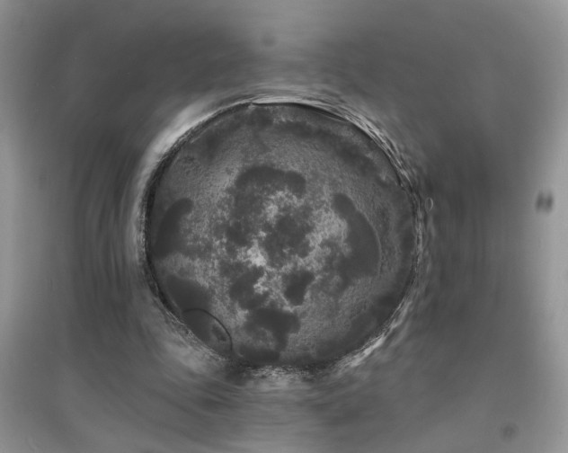 X0000094960343200711291445