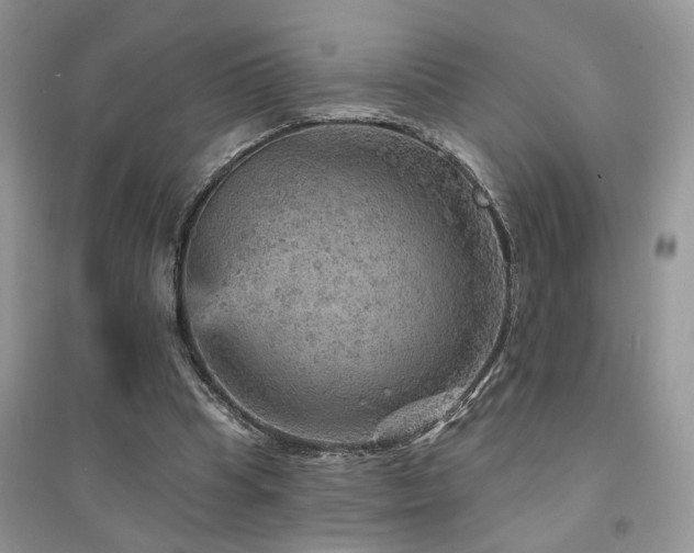 X0000094960345200711291445