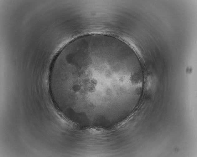 X0000094960346200711291446