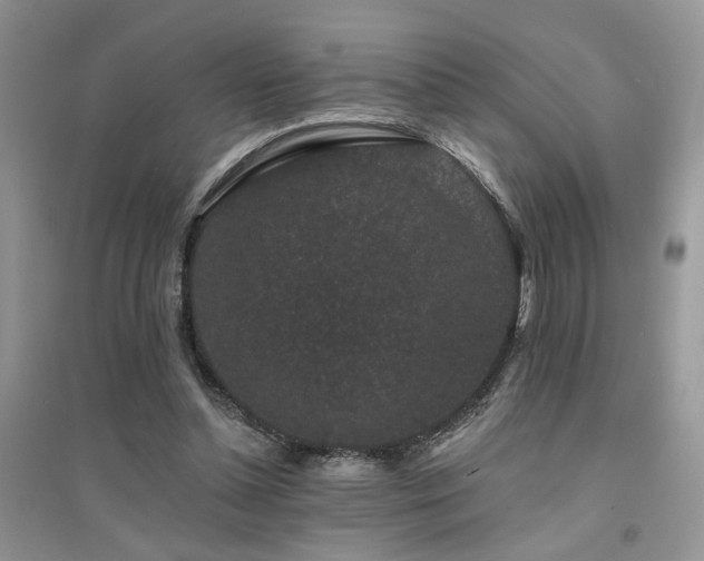 X0000094960348200711291446