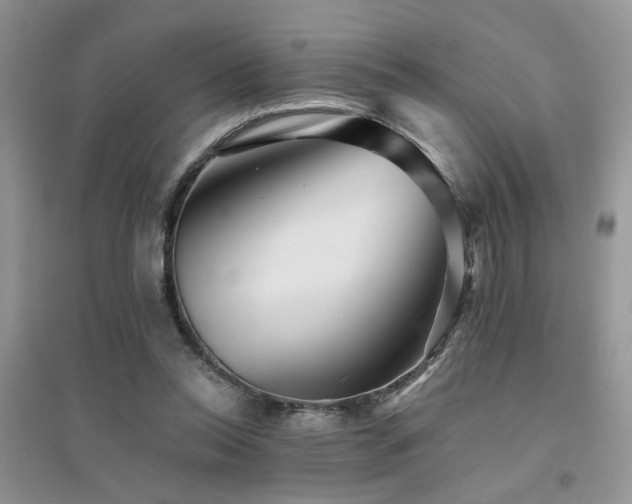 X0000094960350200711291446