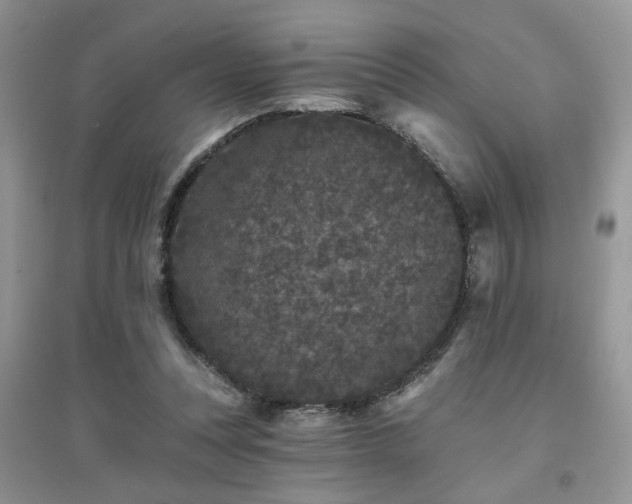 X0000094960351200711291446