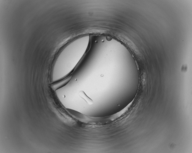 X0000094960352200711291446