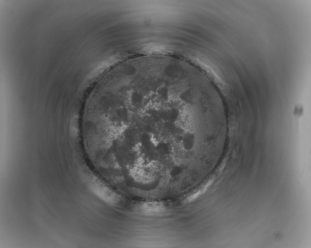 X0000094960353200711291446