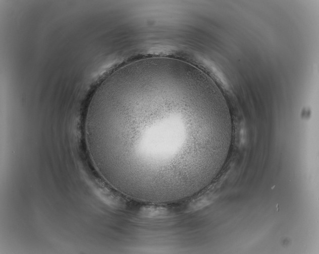 X0000094960354200711291446