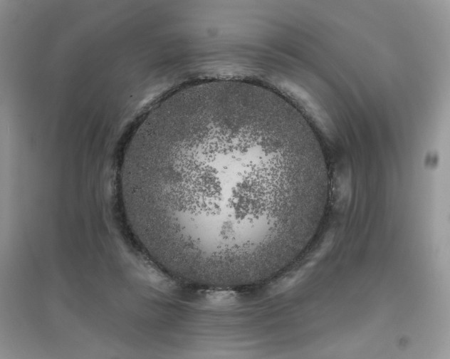 X0000094960355200711291446