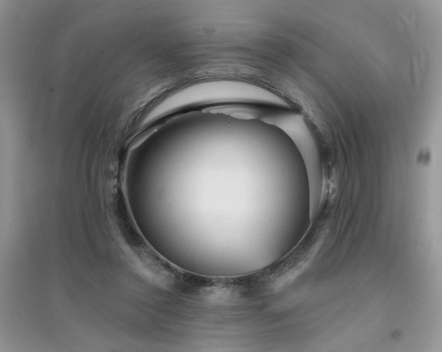 X0000094960356200711291446