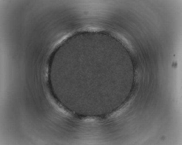 X0000094960358200711291446