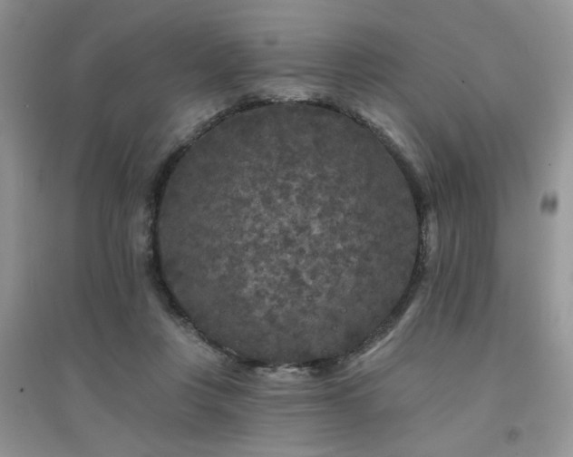 X0000094960359200711291446