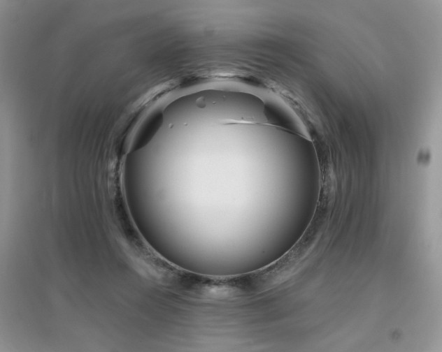 X0000094960360200711291446