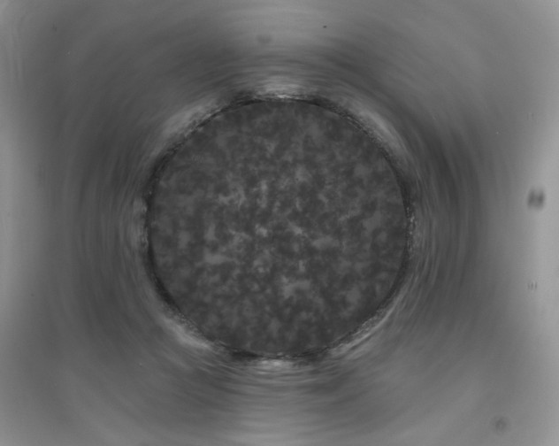 X0000094960361200711291446