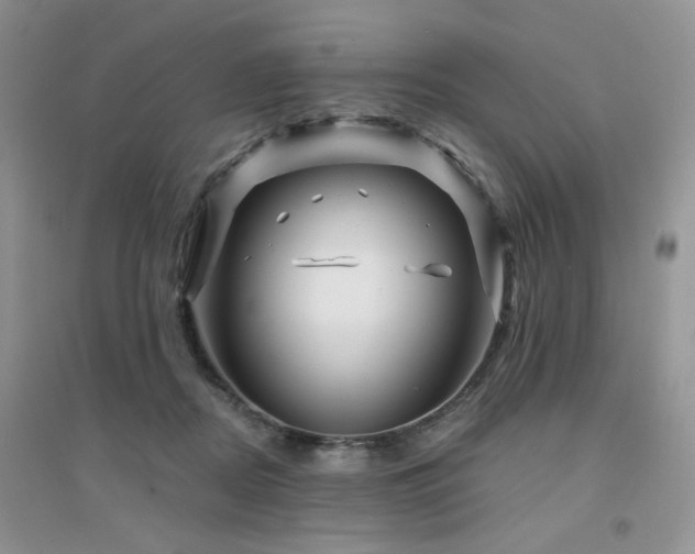 X0000094960362200711291446