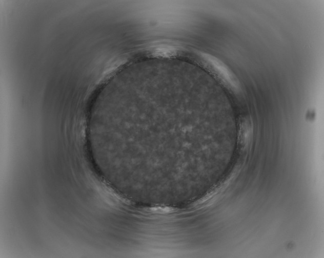 X0000094960363200711291446