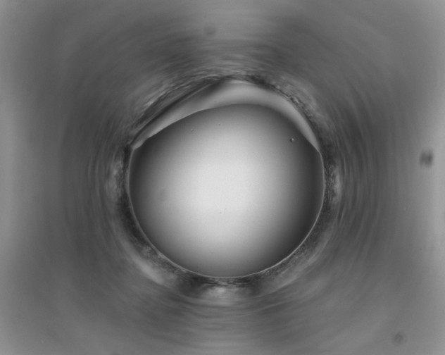 X0000094960364200711291446