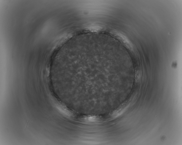 X0000094960365200711291446