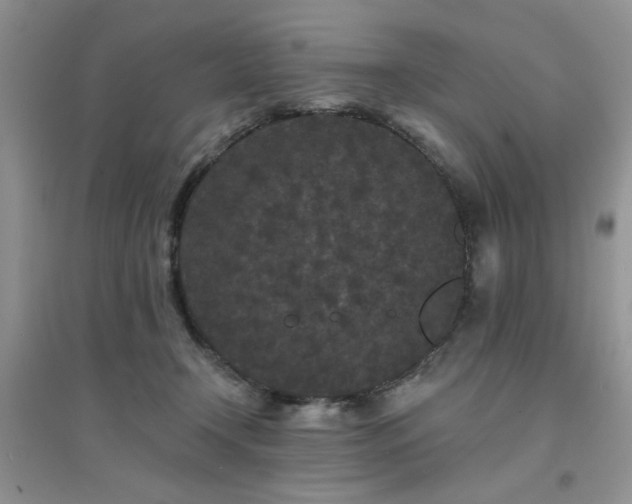 X0000094960366200711291446