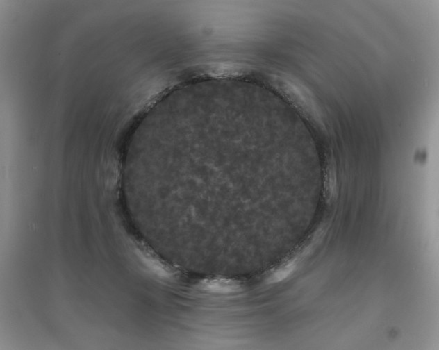 X0000094960367200711291446