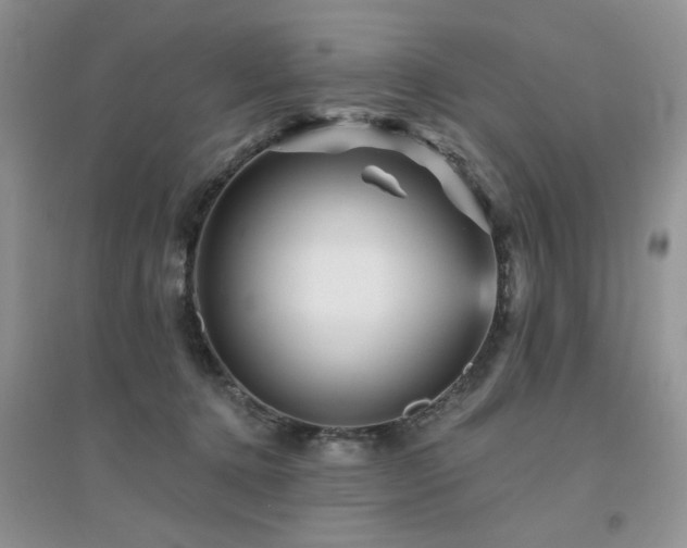 X0000094960368200711291446