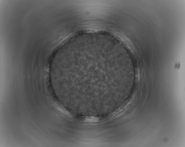 X0000094960369200711291446