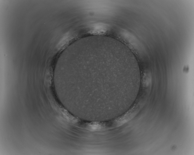 X0000094960370200711291446