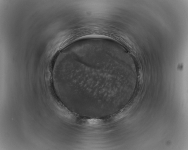 X0000094960371200711291446