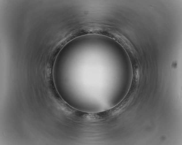 X0000094960372200711291446