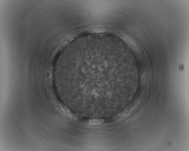 X0000094960373200711291446