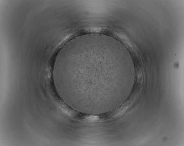 X0000094960374200711291446