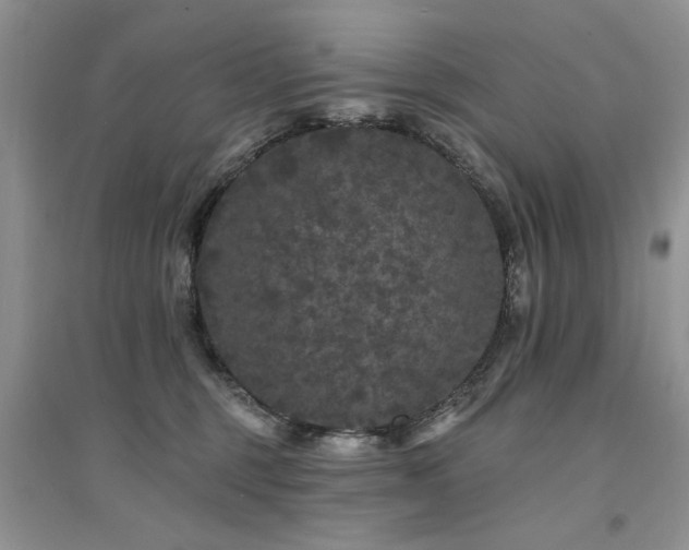 X0000094960375200711291446