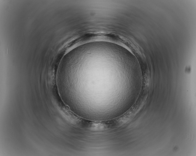 X0000094960376200711291446