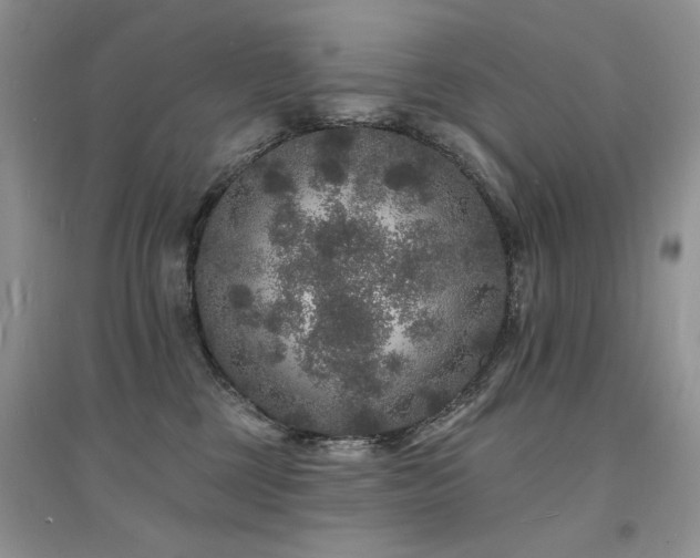 X0000094960377200711291446