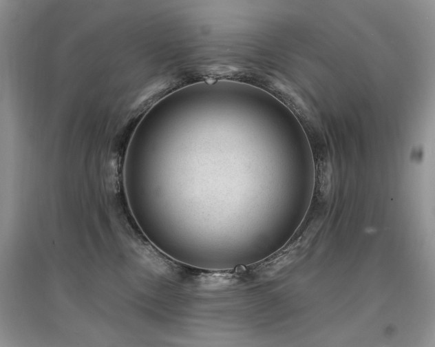 X0000094960378200711291446