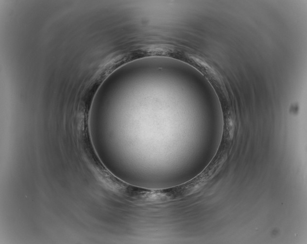 X0000094960379200711291446