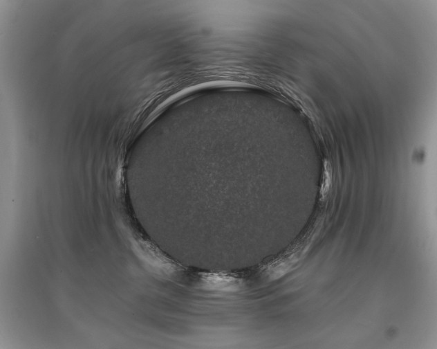 X0000094960380200711291446